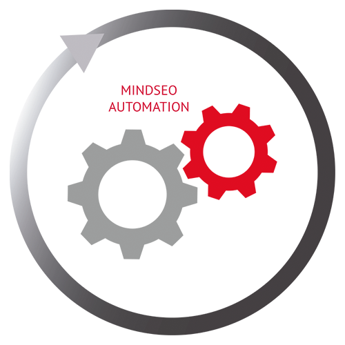 Mindseo Automation Process